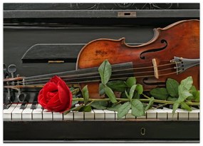 Tablou- Amintire de muzicean (70x50 cm)