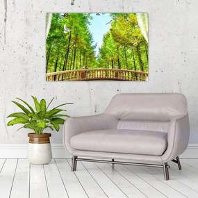 Tablou - Privire spre pădure (90x60 cm)