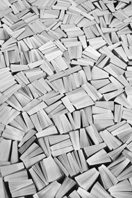 Tapet Books, White, Rebel Walls