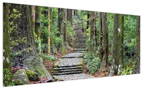 Tablou cu trepte din piatră în pădure (120x50 cm), în 40 de alte dimensiuni noi