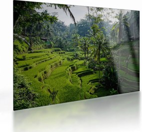 Tablou pe sticlă cu terasele cu orez Tegalalang, Bali (70x50 cm)