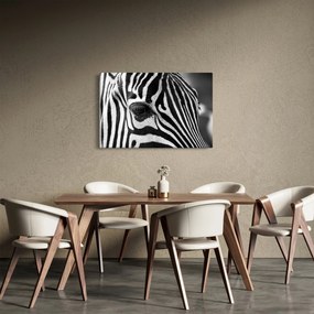 Tablou cu zebră (90x60 cm)