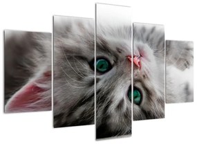 Tablou - pisici (150x105cm)