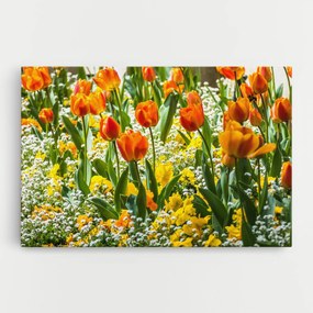 Tablou Canvas, 20x30cm, Dormitor si Living, Flori, Flori in natura, Colorful Tulips Garden