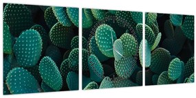 Tablou - Opuntia (cu ceas) (90x30 cm)