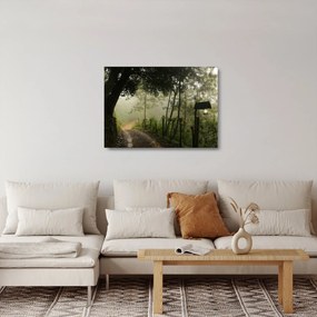 Tablou pe sticlă cu ceața de dimineața (70x50 cm)