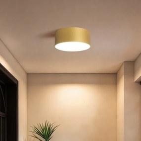 BRILAGI - LED Plafonieră de exterior FORIS LED/20W/230V diam. 15 cm auriu IP44