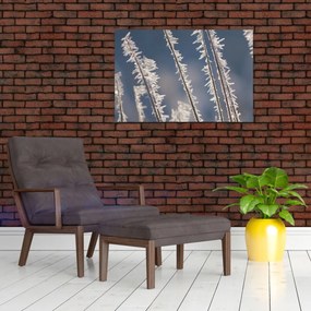 Tablou - Îngheț (90x60 cm)