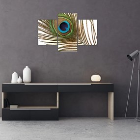 Tablou cu pene de păun (90x60 cm)