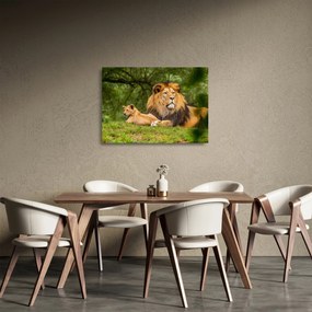 Tablou pe sticlă cu lei (70x50 cm)