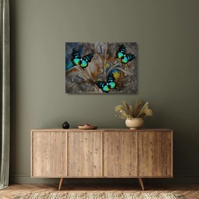 Tablou pe sticlă - Fluturi strălucitori în imagine (70x50 cm)