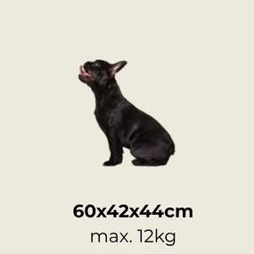 Cadoca Geantă de transport pentru câini și pisici ELI, 60x42x42cm, roșu închis