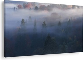 Tablou - Pădure în ceță, Carpați, Ucraina (90x60 cm)
