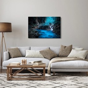Tablou - Noaptea magică în pădurea tropicală (90x60 cm)
