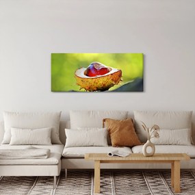 Tablou cu castani (120x50 cm)