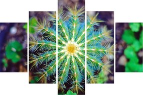 Tablou cu cactus (150x105 cm)
