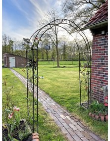 Arcadă pentru plante cățărătoare Mira - Garden Pleasure