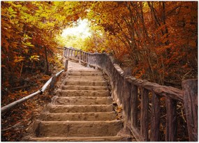 Tablou - Scări în natură în toamnă (70x50 cm)