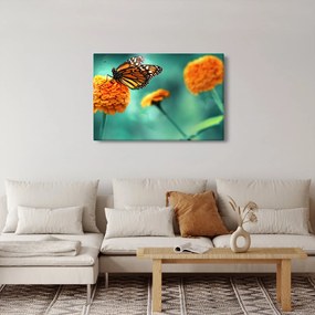 Tablou cu fluture (90x60 cm)