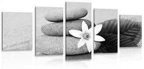 Tablou 5-piese floare și pietre în nisip în design alb-negru