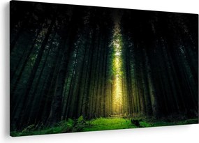 Tablou cu pădurea întunecată (90x60 cm)