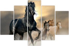 Tablou - Cai (150x105 cm)