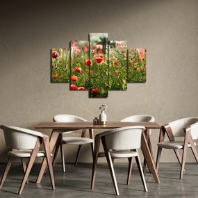 Tablou cu maci (150x105 cm)