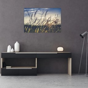 Tablou cu flori de câmp (90x60 cm)