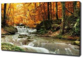 Tablou canvas Cascada din pădure