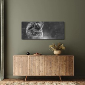 Tablou - Veveriță în timpul iernii (120x50 cm)
