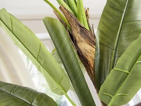 Planta artificiala decorativa BANANA TREE, Platanera H180