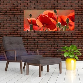 Tablou cu flori de maci (120x50 cm)