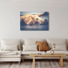 Tablou - Pisici pe podea (90x60 cm)