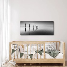 Tablou cu nivelul de lac alb negru (120x50 cm)