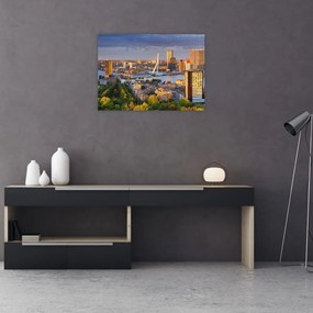 Tablou pe sticlă - Panorama Rotterdamului, Țările de Jos (70x50 cm)