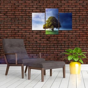 Tablou - Noapte și zi (90x60 cm)