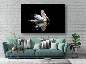 Tablouri Canvas Animale - Pelican australian
