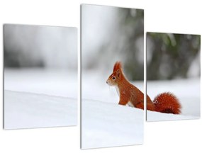 Tablou - Vevetițe (90x60 cm)