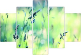 Tablou - Detaliu pajiște (150x105 cm)