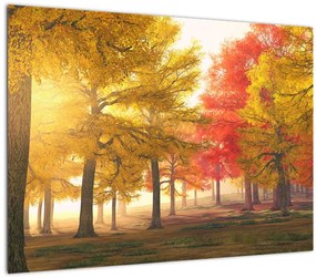 Tablou pe sticlă cu copaci toamna (70x50 cm)