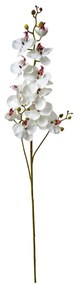 Floare artificiala de orhidee alba 15/8/116 cm