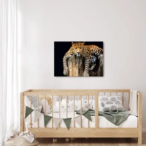 Tablou - Ghepard (70x50 cm)