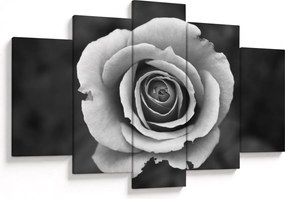 Tablou - Trandafir (150x105 cm)