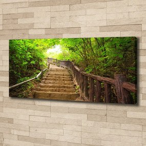 Tablou pe pânză canvas Scari din pădure