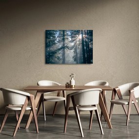 Tablou pe sticlă cu copaci și soarele translucind (70x50 cm)