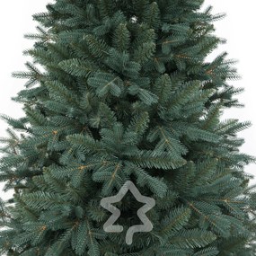 Molid Argintiu 220 cm