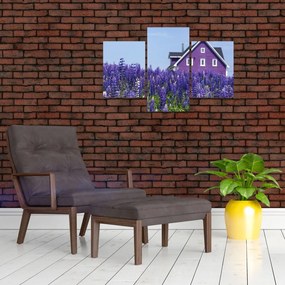 Tablou cu câmp de lavanda (90x60 cm)