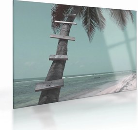 Tablou pe sticlă - Palma în Caraibe (70x50 cm)