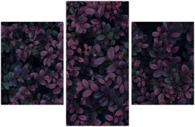 Tabou - Frunze roșu închis (90x60 cm)