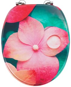Capac WC 37,5 x 44 cm Flower – Allstar